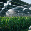 French developer builds agrivoltaics facility with irrigation system